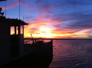 Ferry sunset